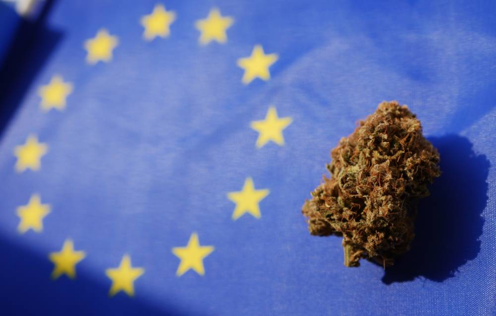 achat qualité CBD