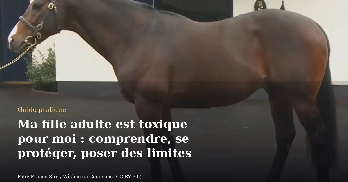 Ma fille adulte est toxique pour moi : comprendre, se protéger, poser des limites