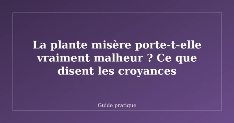 La plante misère porte-t-elle vraiment malheur ? Ce que disent les croyances