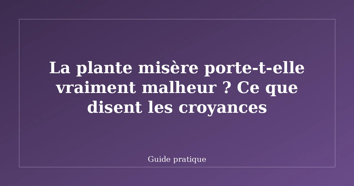 La plante misère porte-t-elle vraiment malheur ? Ce que disent les croyances