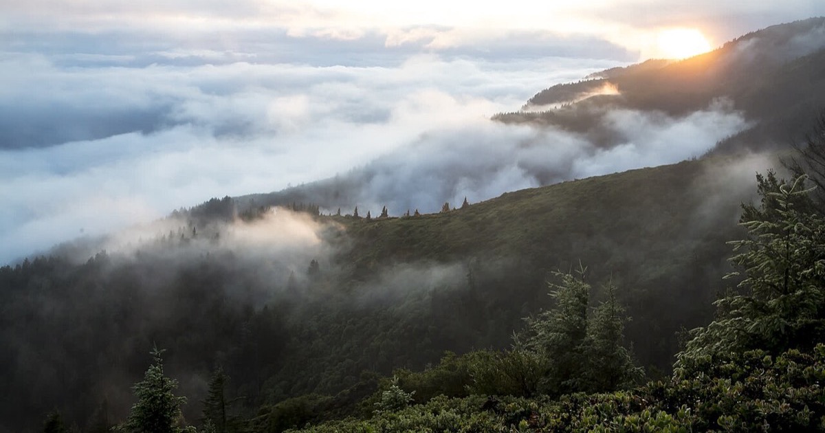 Brume et lever de soleil sur une crête boisée, image de signes et de synchronicités